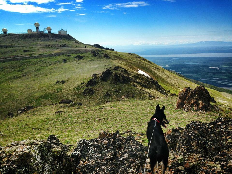 Mylo Hiking Arctic Valley